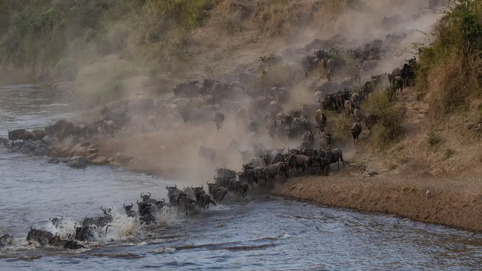 hero safari real travel image 5 - real travel photography for Serene Sojourns Tours