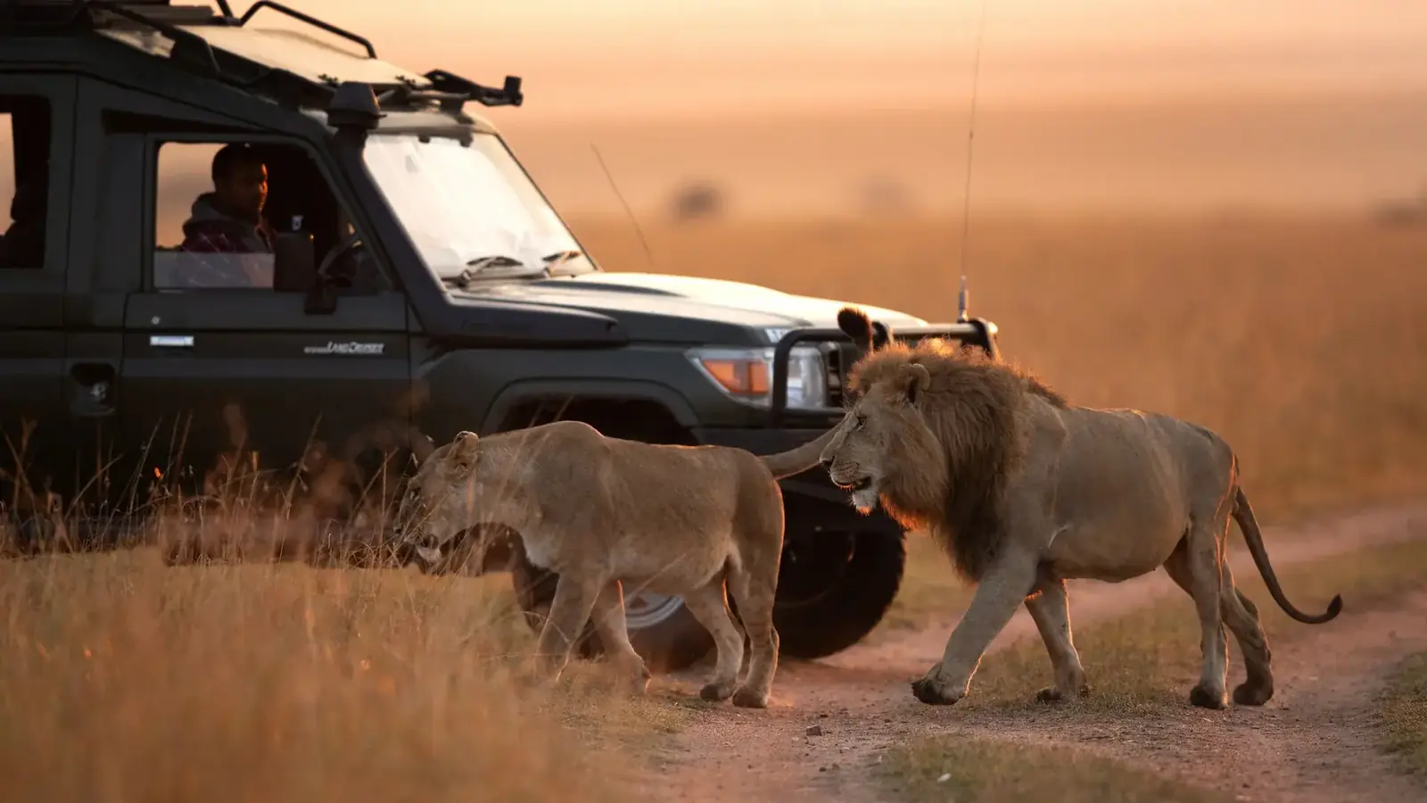 hero safari real travel image 6 - real travel photography for Serene Sojourns Tours