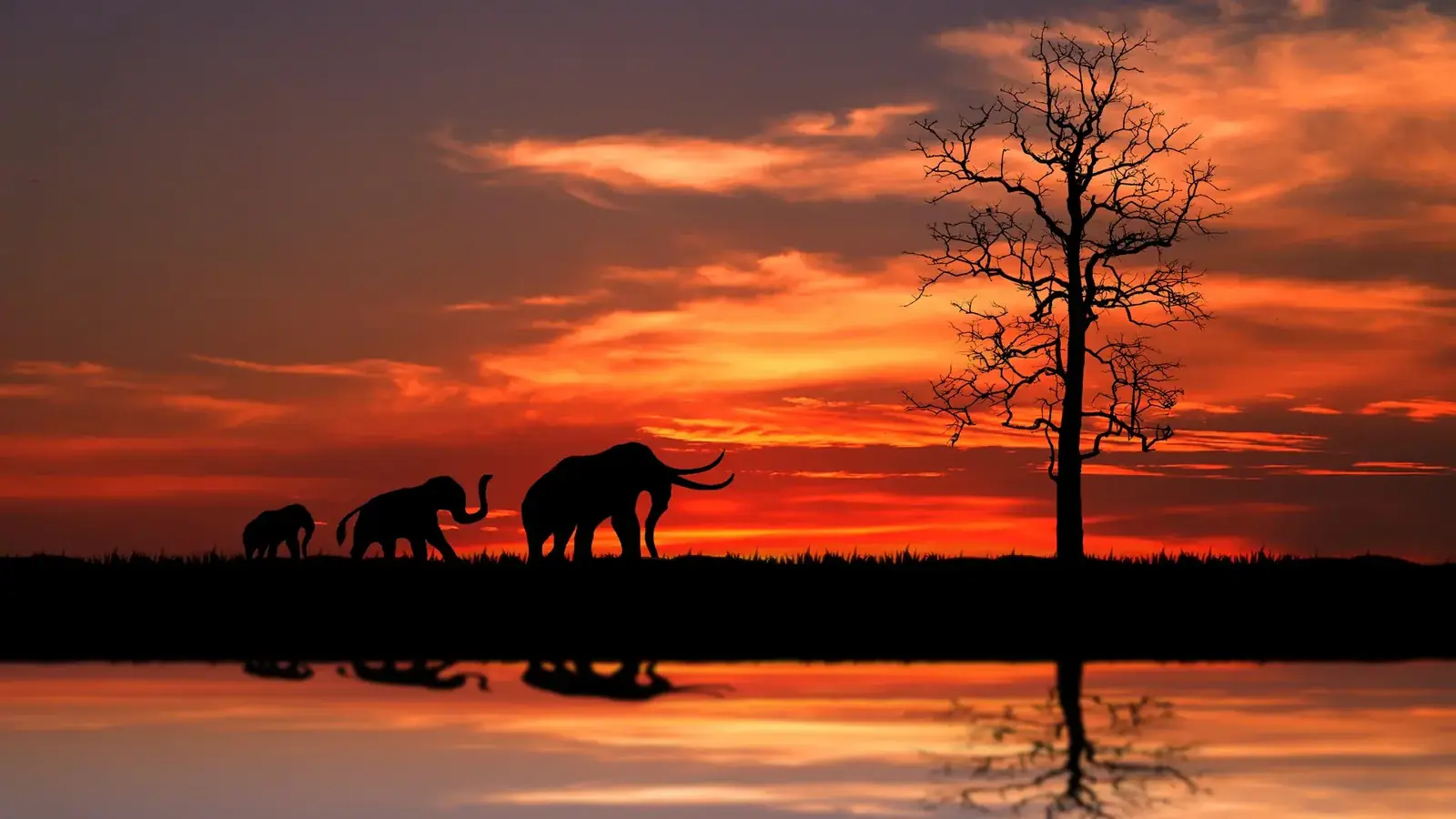 hero safari real travel image 12 - real travel photography for Serene Sojourns Tours