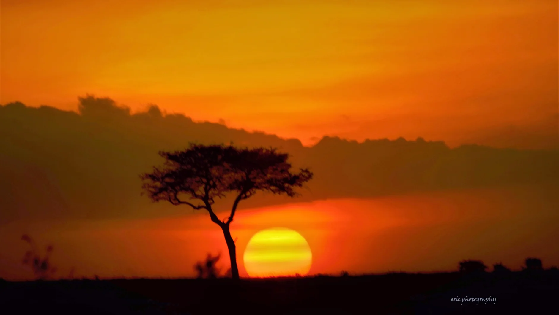 kalahari real travel image 6 - real travel photography for Serene Sojourns Tours