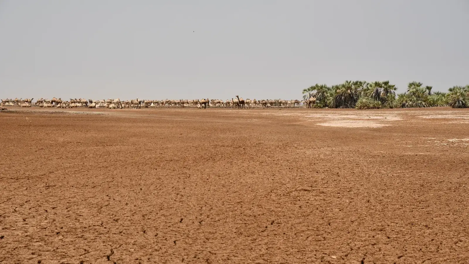 kalahari real travel image 7 - real travel photography for Serene Sojourns Tours