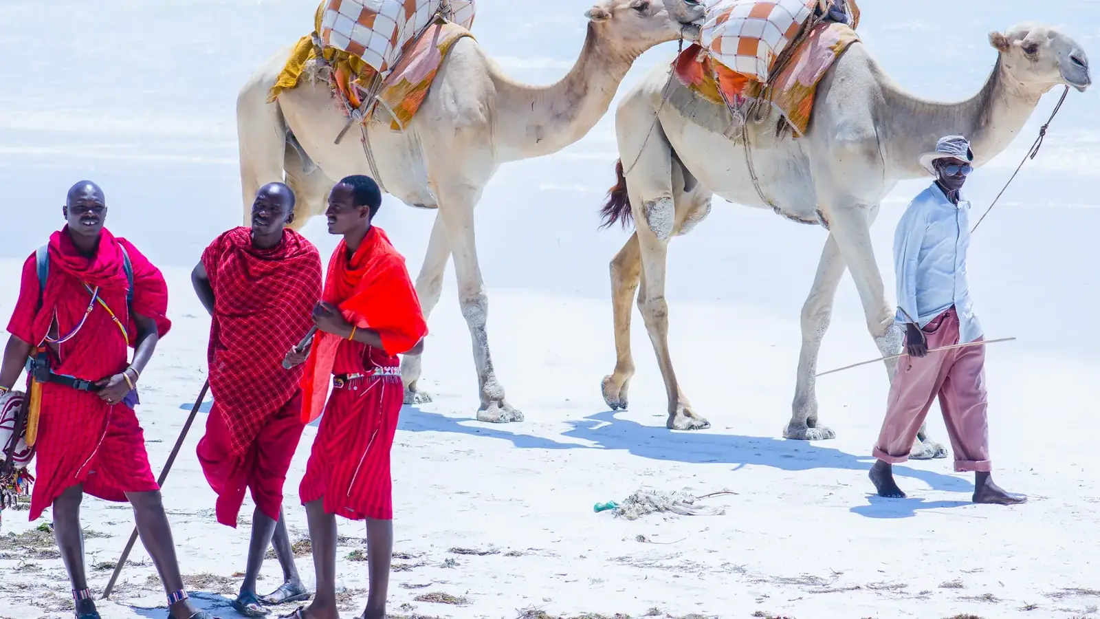 kenya coast real travel image 6 - real travel photography for Serene Sojourns Tours