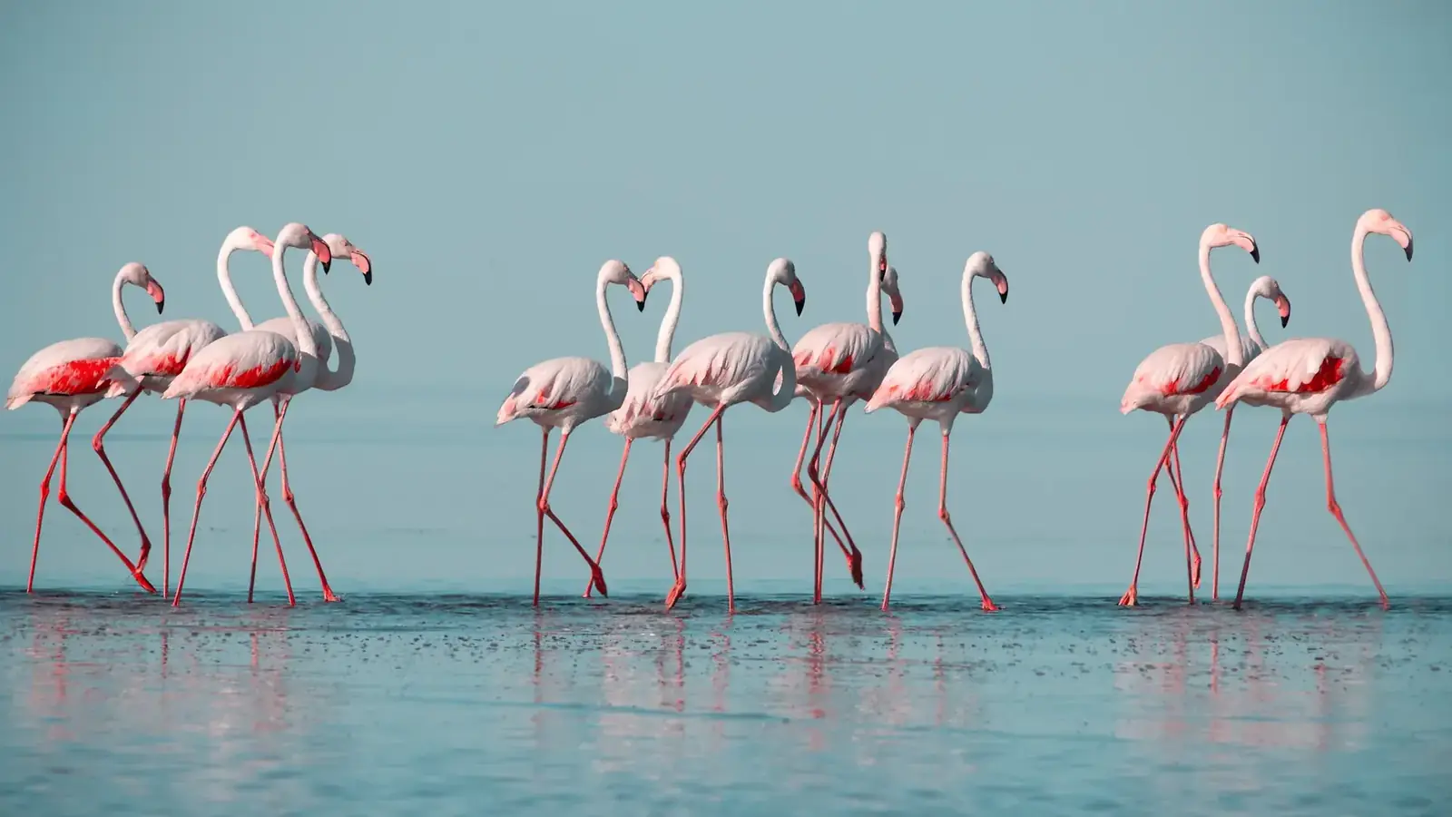 kenya safari real travel image 4 - real travel photography for Serene Sojourns Tours