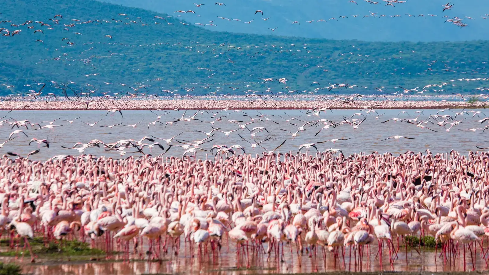 kenya safari real travel image 8 - real travel photography for Serene Sojourns Tours