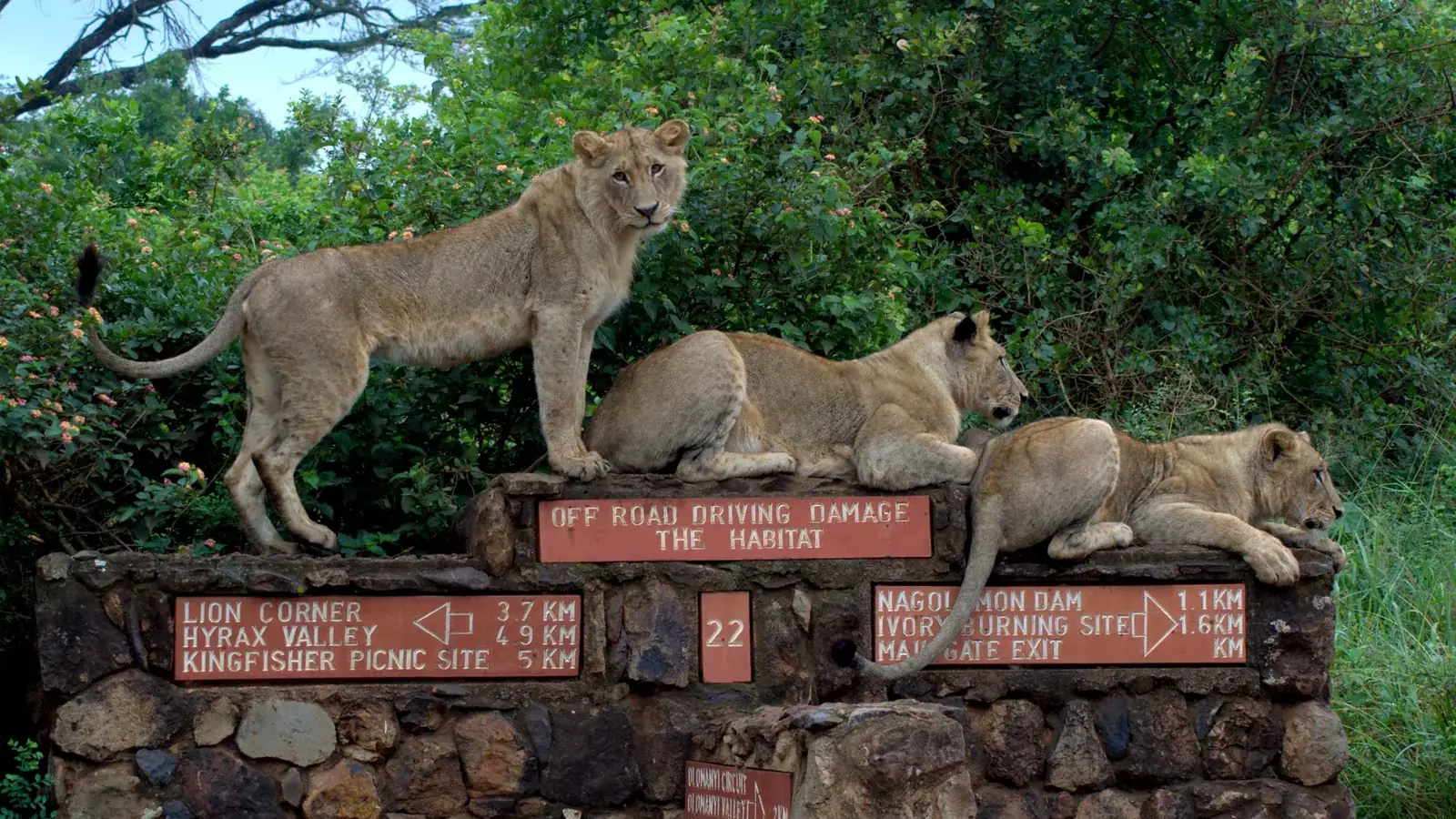 nairobi real travel image 3 - real travel photography for Serene Sojourns Tours