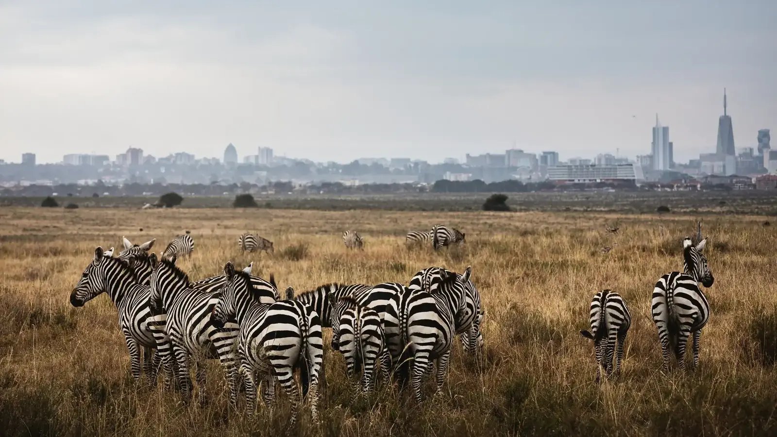 nairobi real travel image 6 - real travel photography for Serene Sojourns Tours