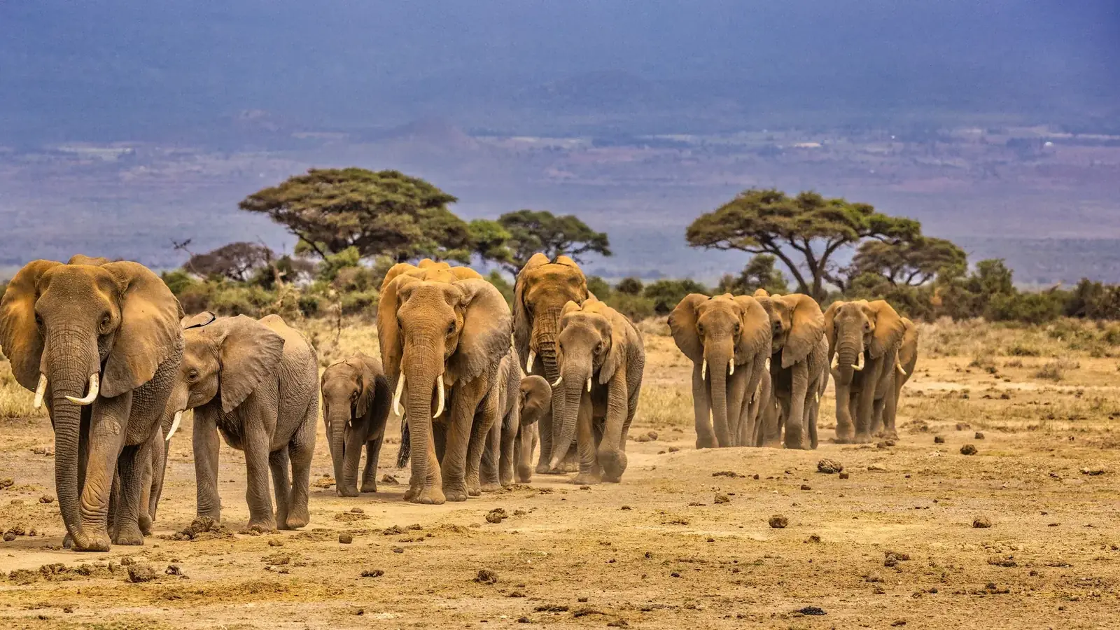 south africa safari real travel image 1 - real travel photography for Serene Sojourns Tours