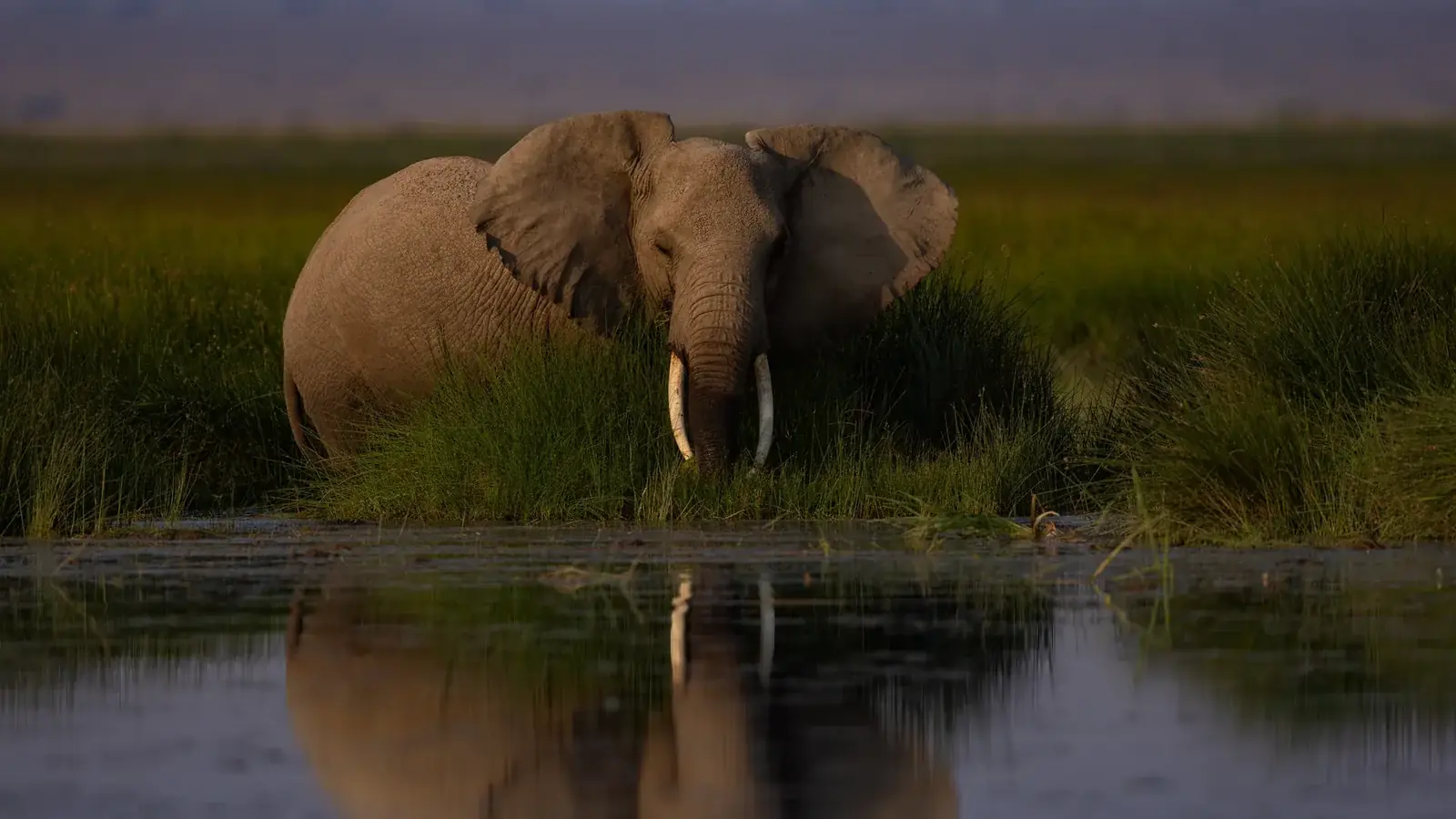 south africa safari real travel image 3 - real travel photography for Serene Sojourns Tours