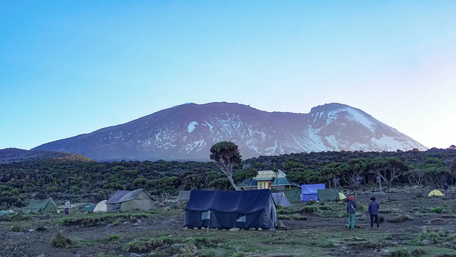 tanzania safari real travel image 6 - real travel photography for Serene Sojourns Tours