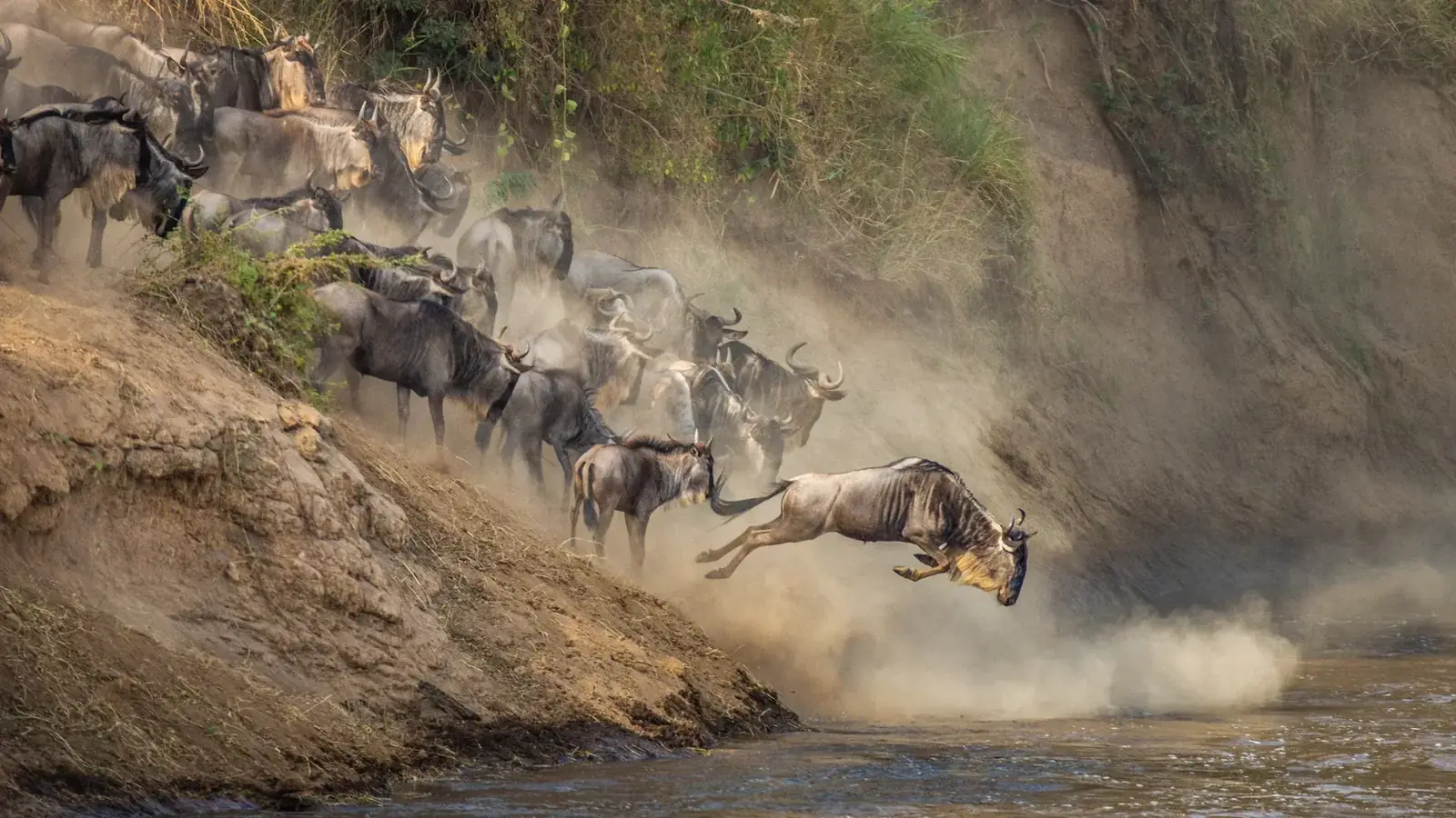 tanzania safari real travel image 7 - real travel photography for Serene Sojourns Tours