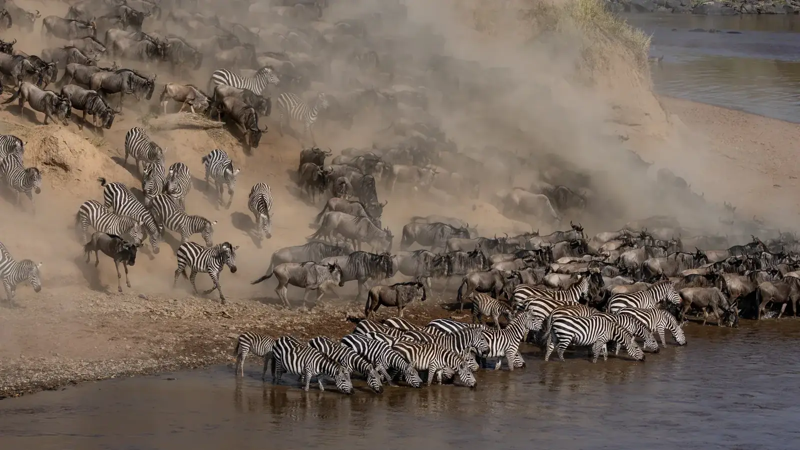 tanzania safari real travel image 10 - real travel photography for Serene Sojourns Tours