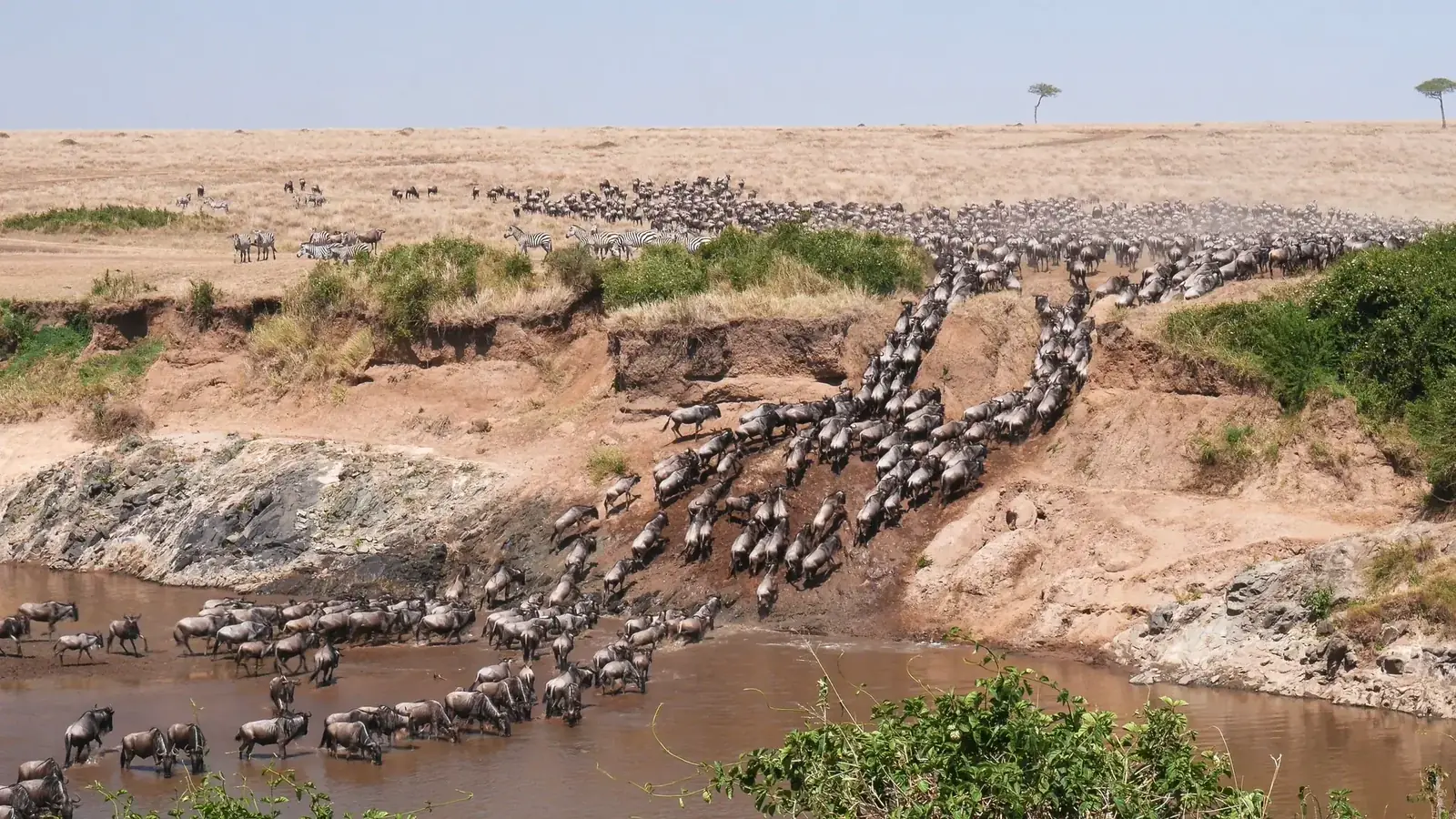tanzania safari real travel image 11 - real travel photography for Serene Sojourns Tours