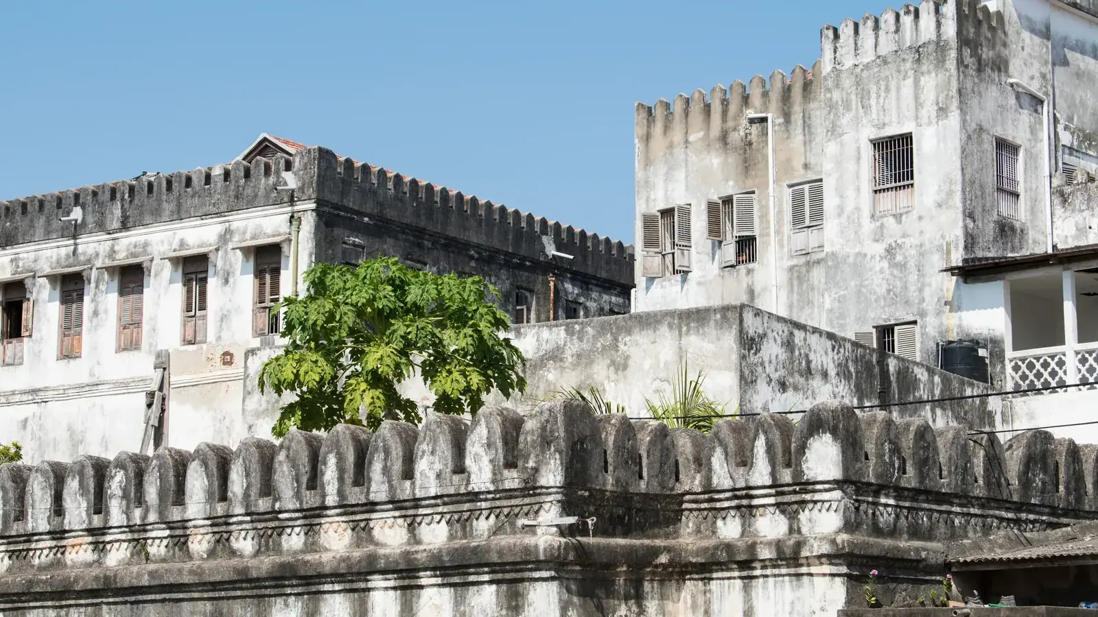 zanzibar real travel image 2 - real travel photography for Serene Sojourns Tours