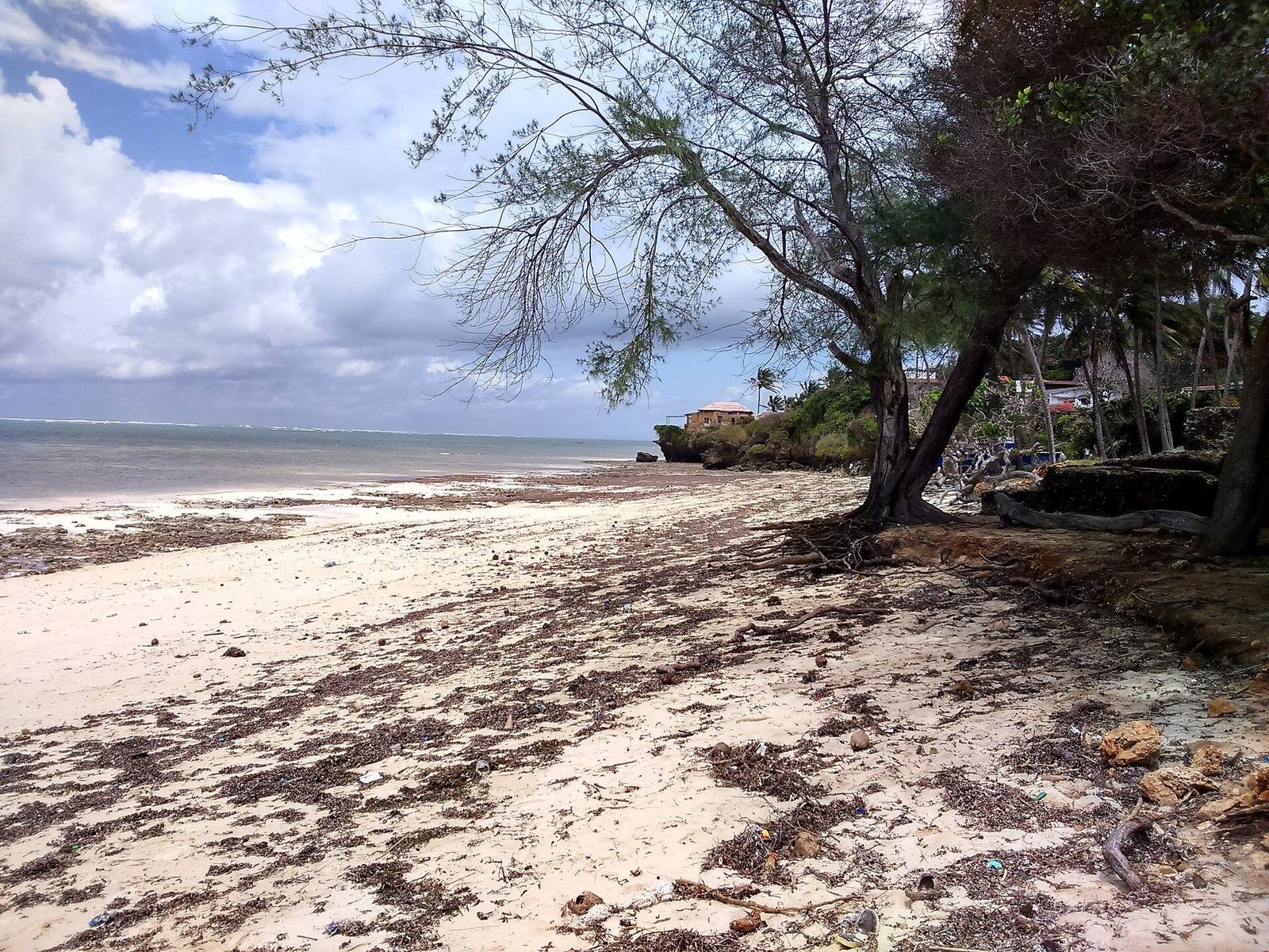 Kenya Coast safari scenery for SERENE SOJOURNS TOURS