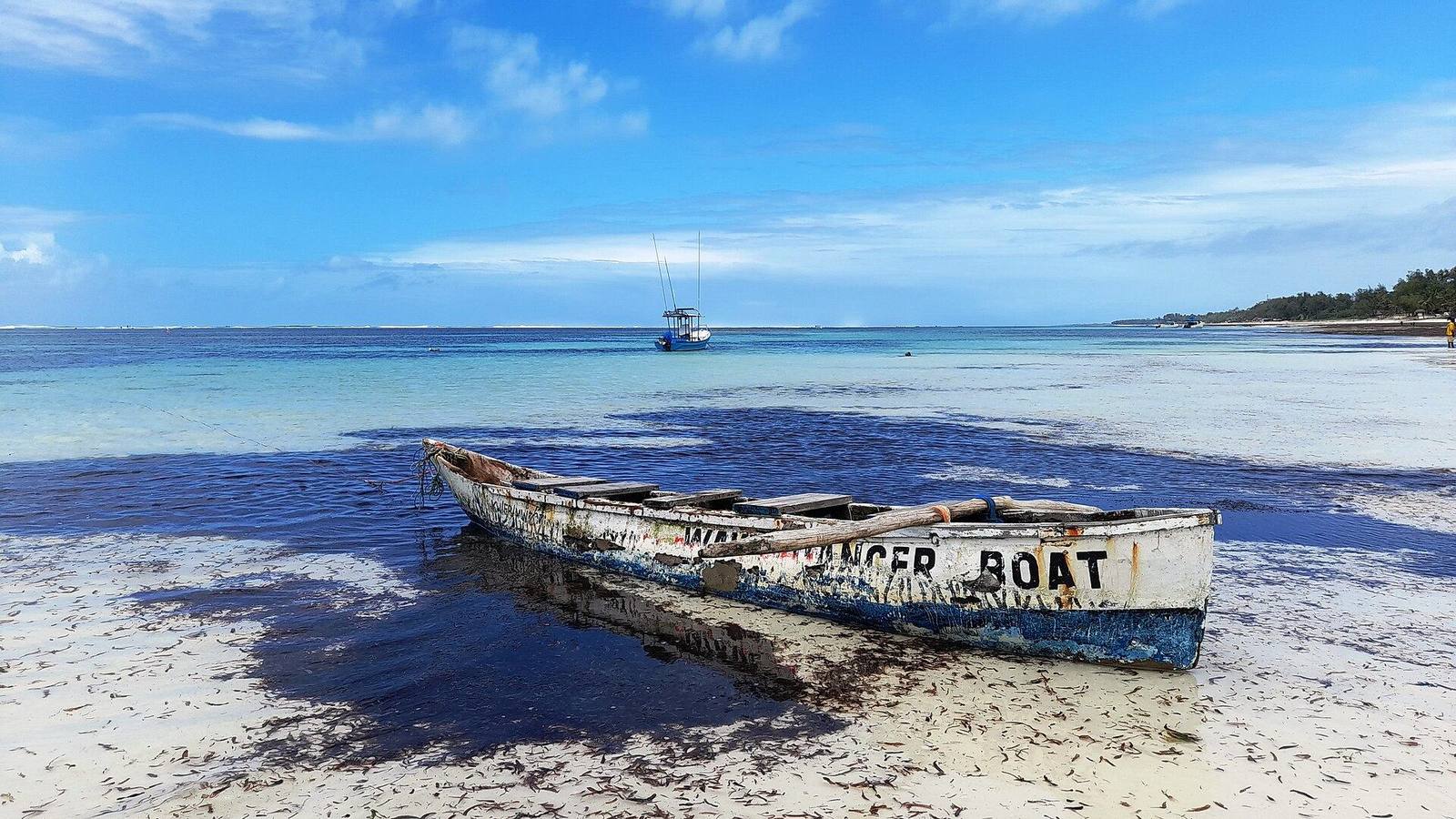 Kenya Coast safari scenery for SERENE SOJOURNS TOURS
