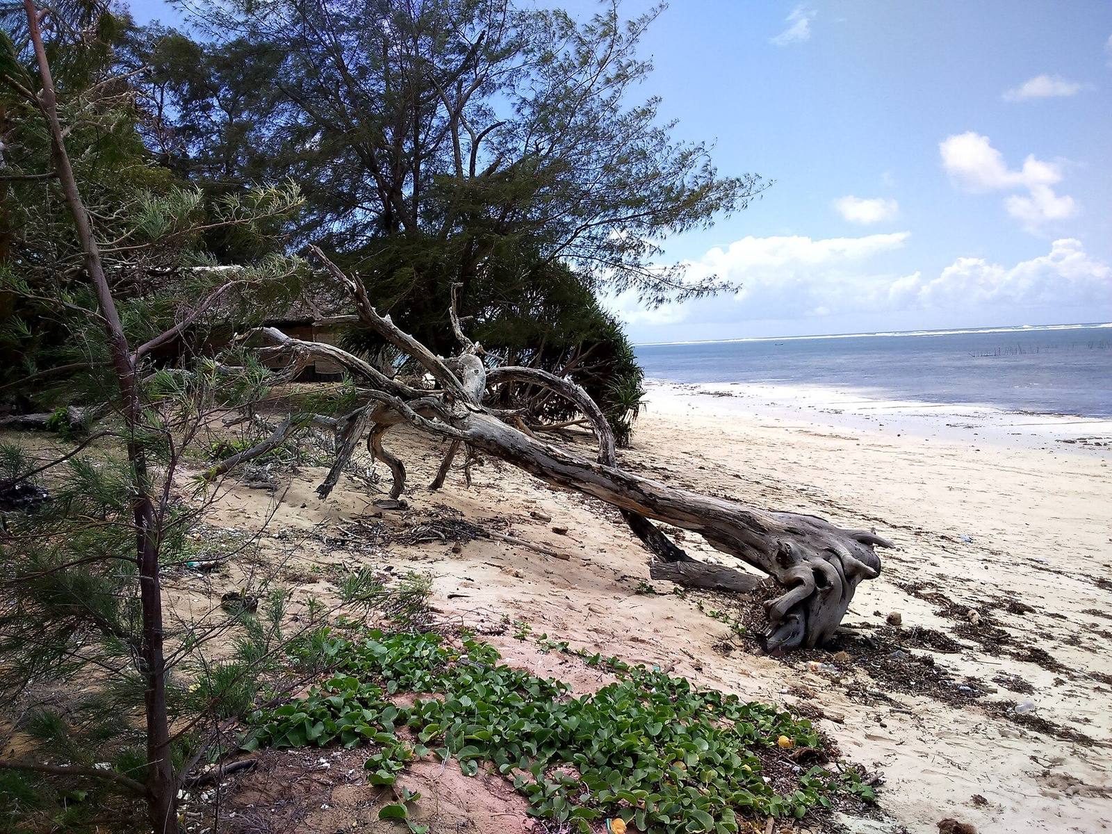 Kenya Coast safari scenery for SERENE SOJOURNS TOURS