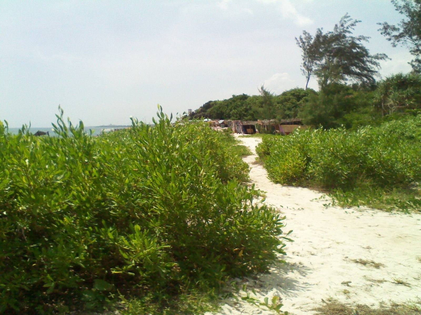 Kenya Coast safari scenery for SERENE SOJOURNS TOURS