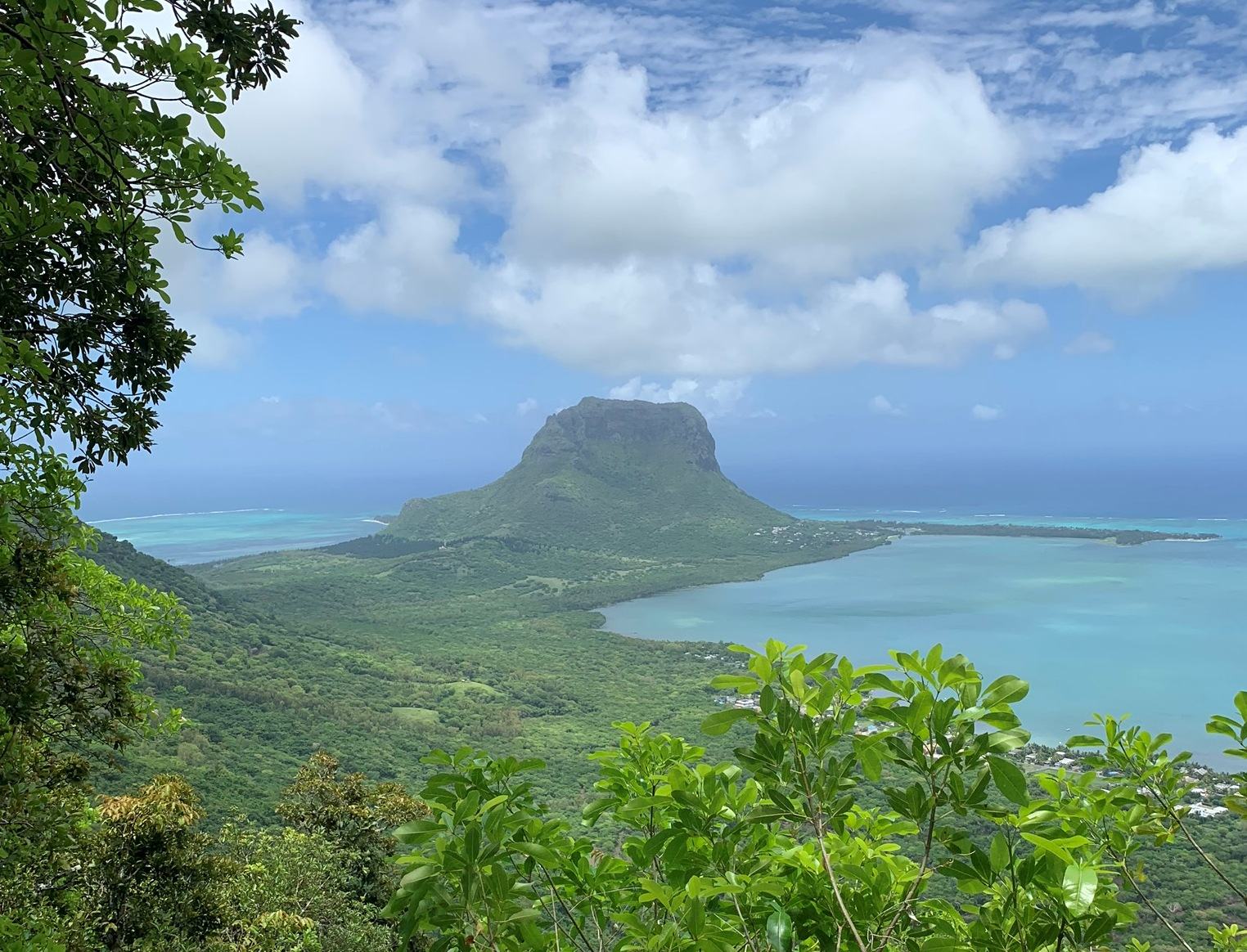 Mauritius safari scenery for SERENE SOJOURNS TOURS