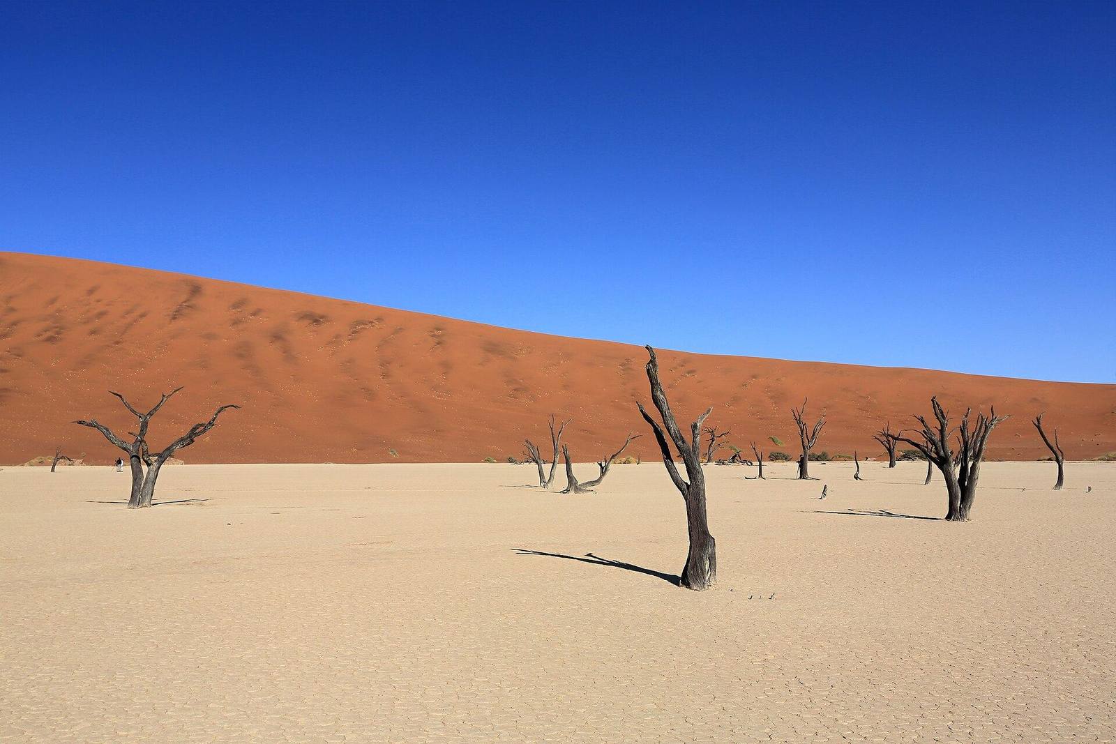 Namibia safari scenery for SERENE SOJOURNS TOURS