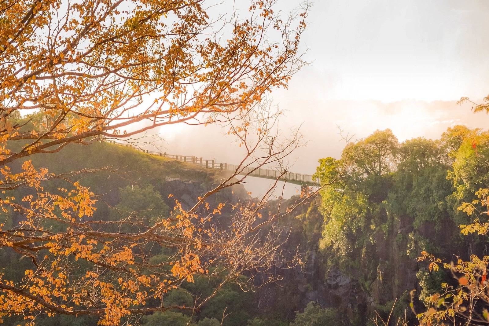 Victoria Falls safari scenery for SERENE SOJOURNS TOURS