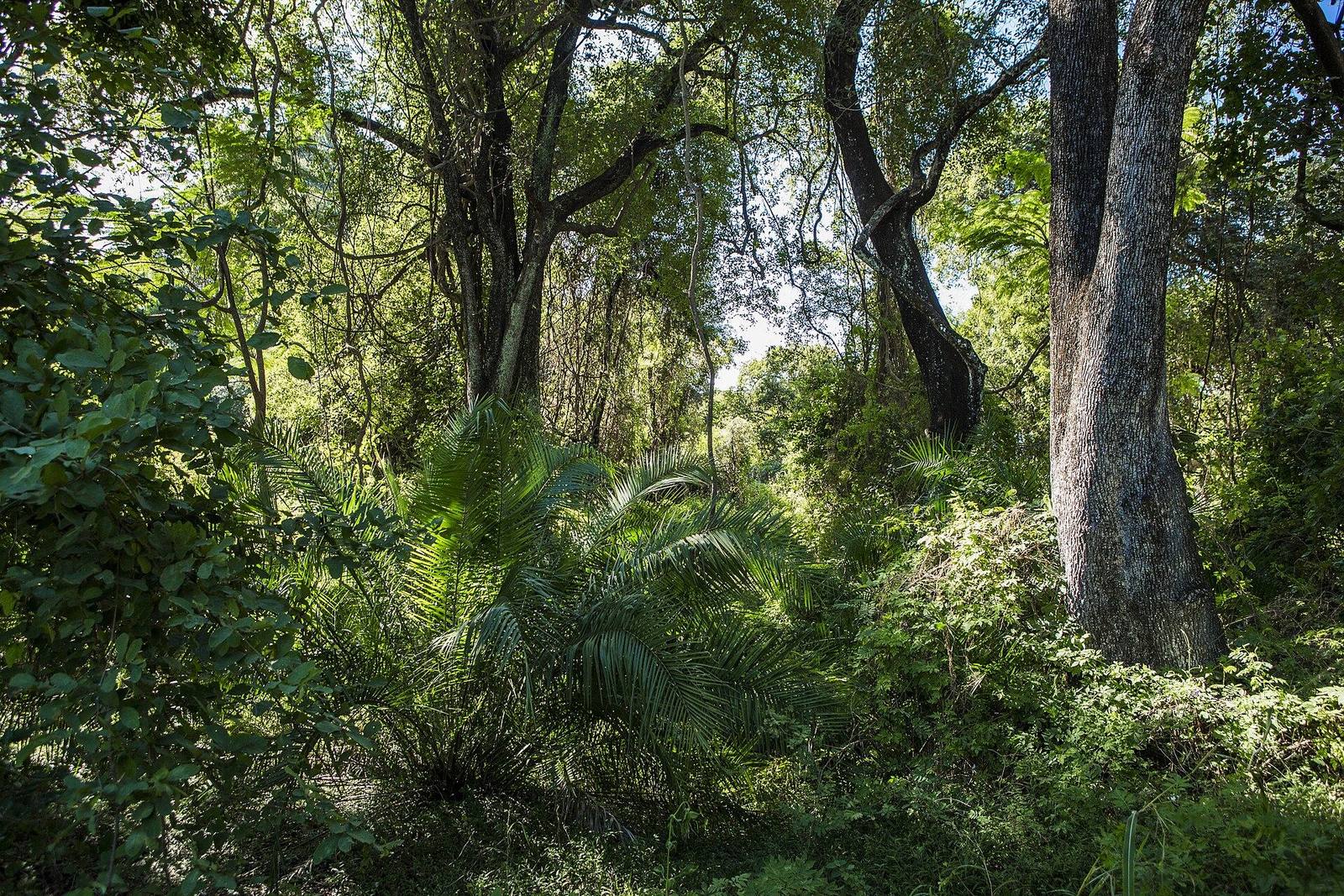 Victoria Falls safari scenery for SERENE SOJOURNS TOURS